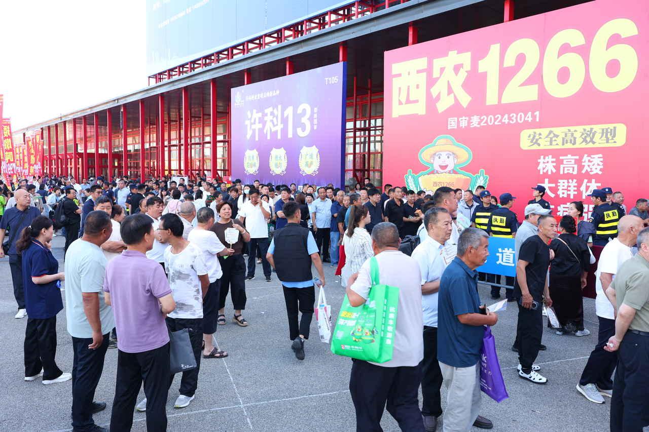 田地产量想拔高，七月郑州走一遭！2026河南种子会落地郑州，各类耐涝、抗高温优质