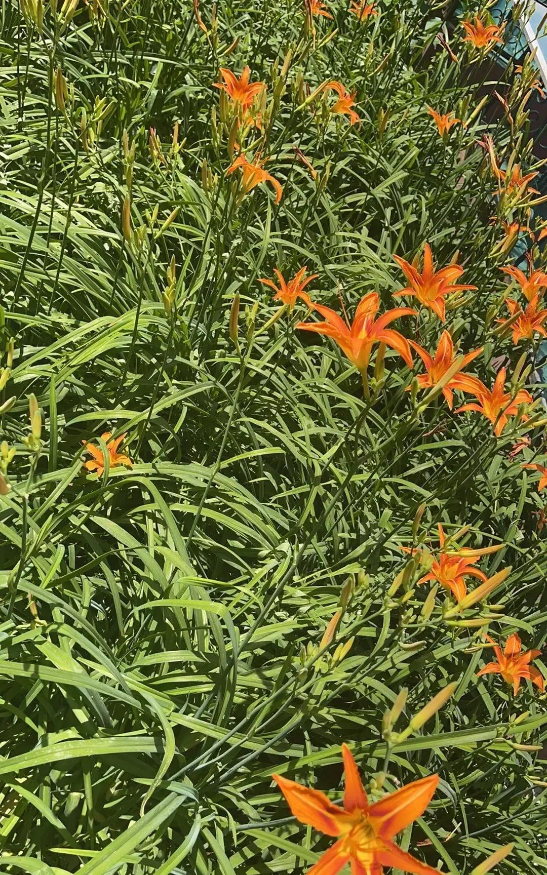 台《欢乐二打一》突然停播，主持人曹涤非的微博停更在3月31日。

节目官网也打不