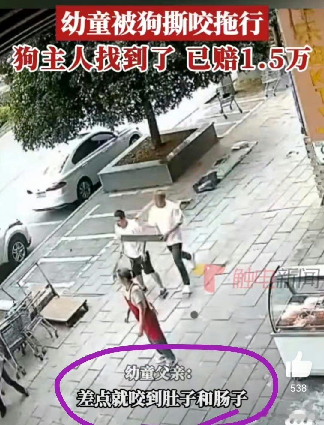 #幼童被狗撕咬拖行狗主人找到了##3岁幼童被狗撕咬戴着项圈却找不到主人# 终于抓