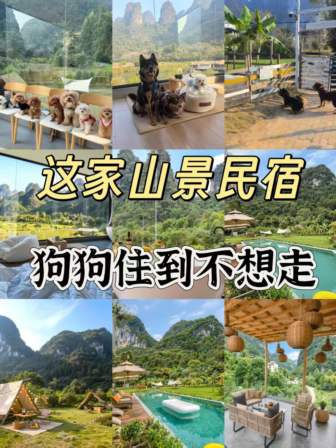 阳朔这家山景民宿，狗子住到不想走🐕带狗出门住店，每次都要做半天心理建设。怕被嫌