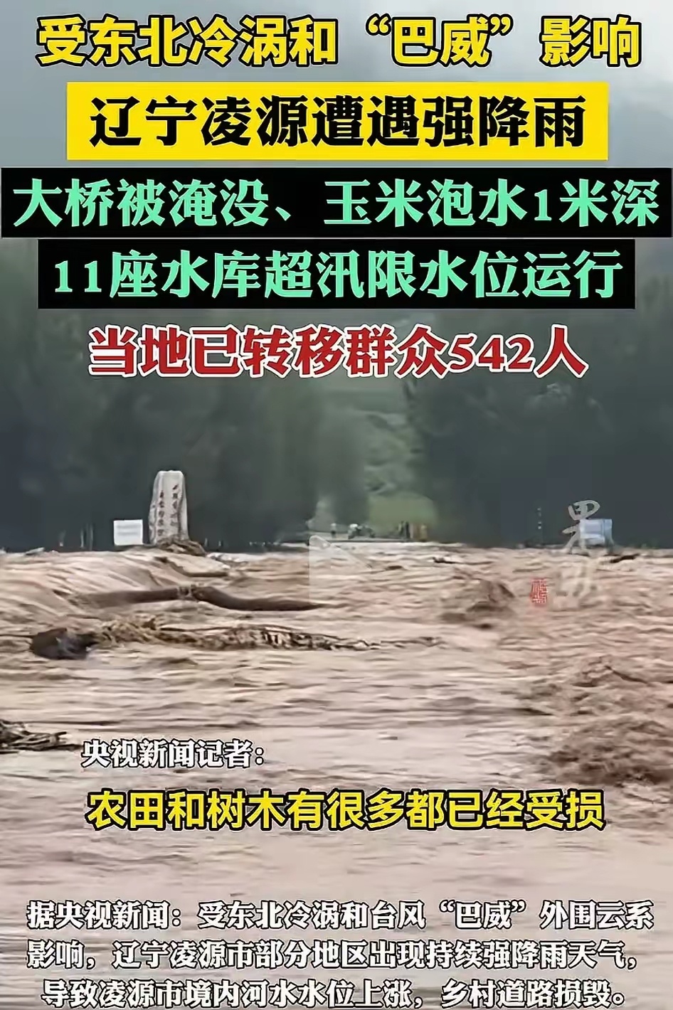 浙江人懵了，江苏人也懵了，估计连辽宁人自己也懵了，大家怎么也没想到，本来应该出现