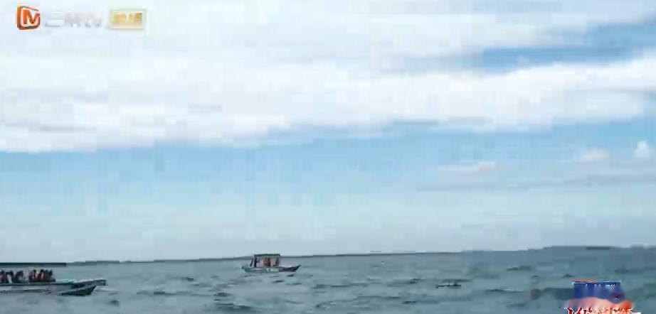 黄子韬徐艺洋追海豚小伙小妹换游记  出海追鲸变成了海豚秀，黄子韬和徐艺洋目睹了海