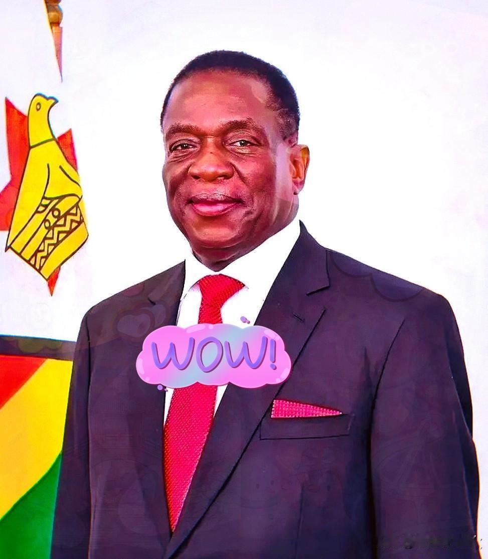 前脚巴拿马不顾中方反对，强行接管了巴拿马港口，后脚津巴布韦突然宣布暂停锂矿出口。