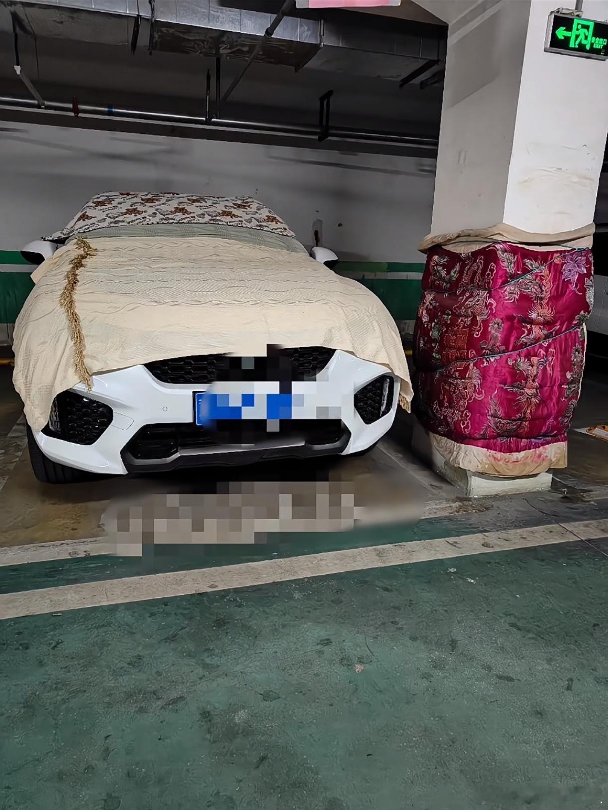 爱车嘛，给车盖被子，这就跟给小猫小狗穿衣服一个意思。但这跟柱子怎么解释？#大v聊