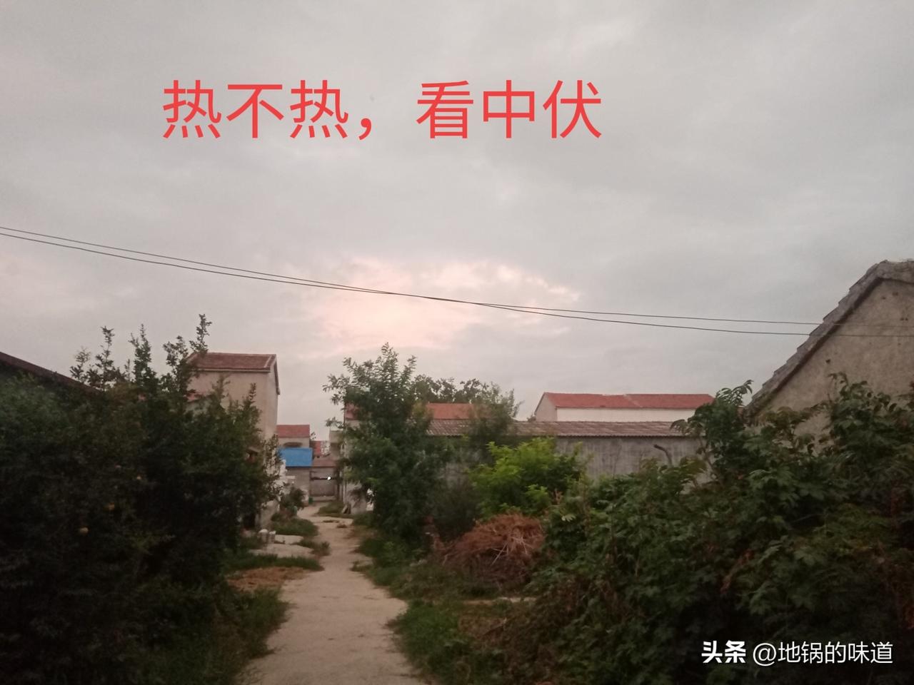 热不热，看大暑
小暑热得透，大暑凉飕飕
从这句农谚，可以看出小暑天气比较炎热，到
