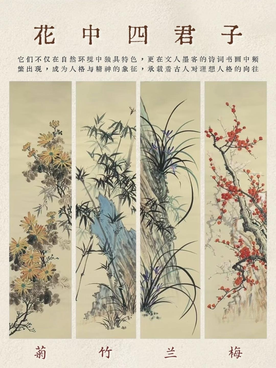 梅兰竹菊为什么被称作花中四君子？梅的坚韧、兰的谦逊、竹的气节、菊的淡泊，不只是植