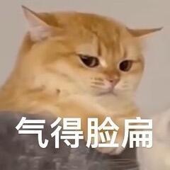 下次能不能直接说名字每次猜来猜去都没有正确的答案最后也就没有什么后续了