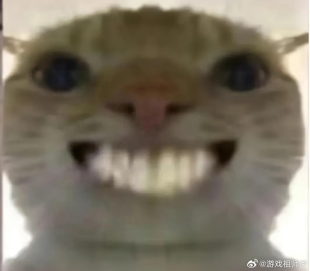 工位吃饭羞耻症哈哈哈，我们都是大家一起吃的，只要有一个人吃，其它闻着味饿了就会跟
