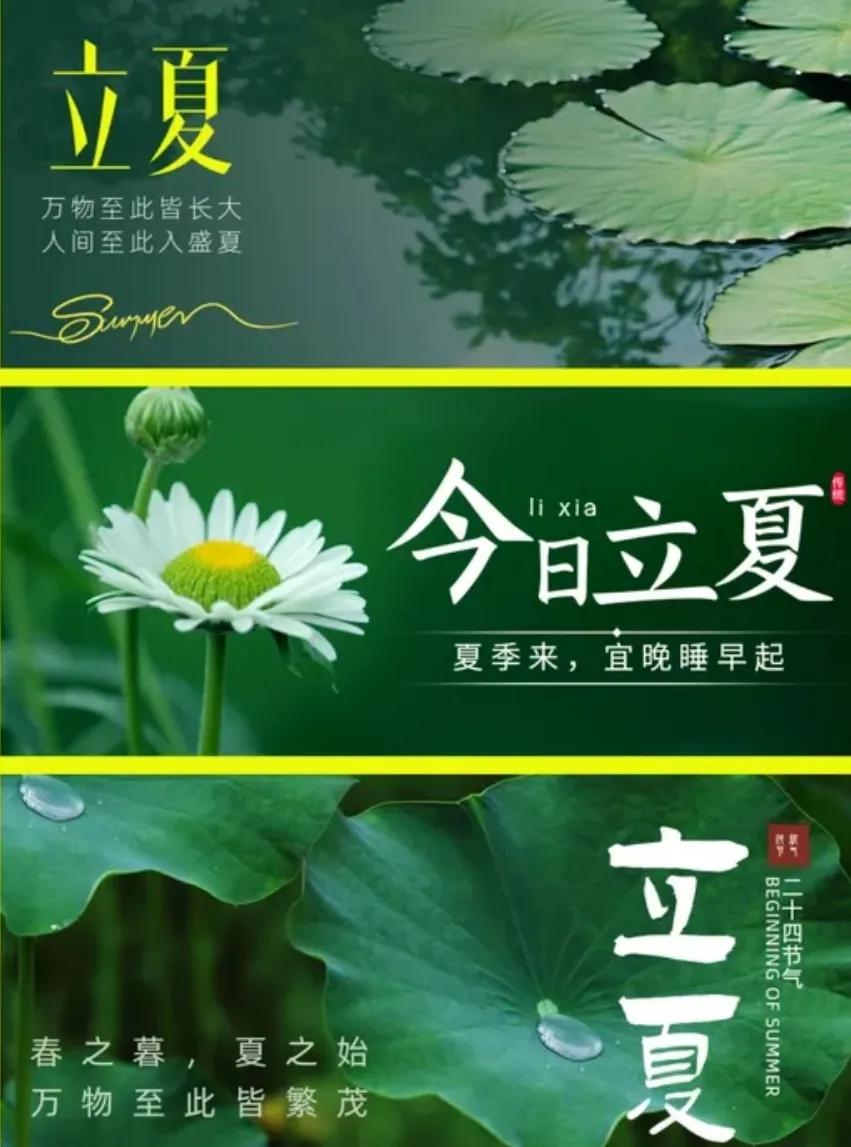重要提醒:今日立夏！120年一遇火马年，这几件事千万别做
 
今日正式立夏，恰逢