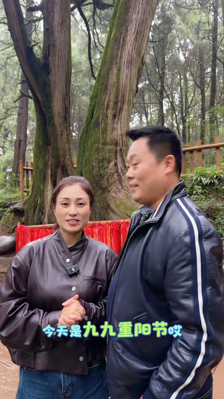 今天是九九重阳节，我们夫妻俩来到了间隔县的翠云廊，这里空气太好了，这里有两万多棵