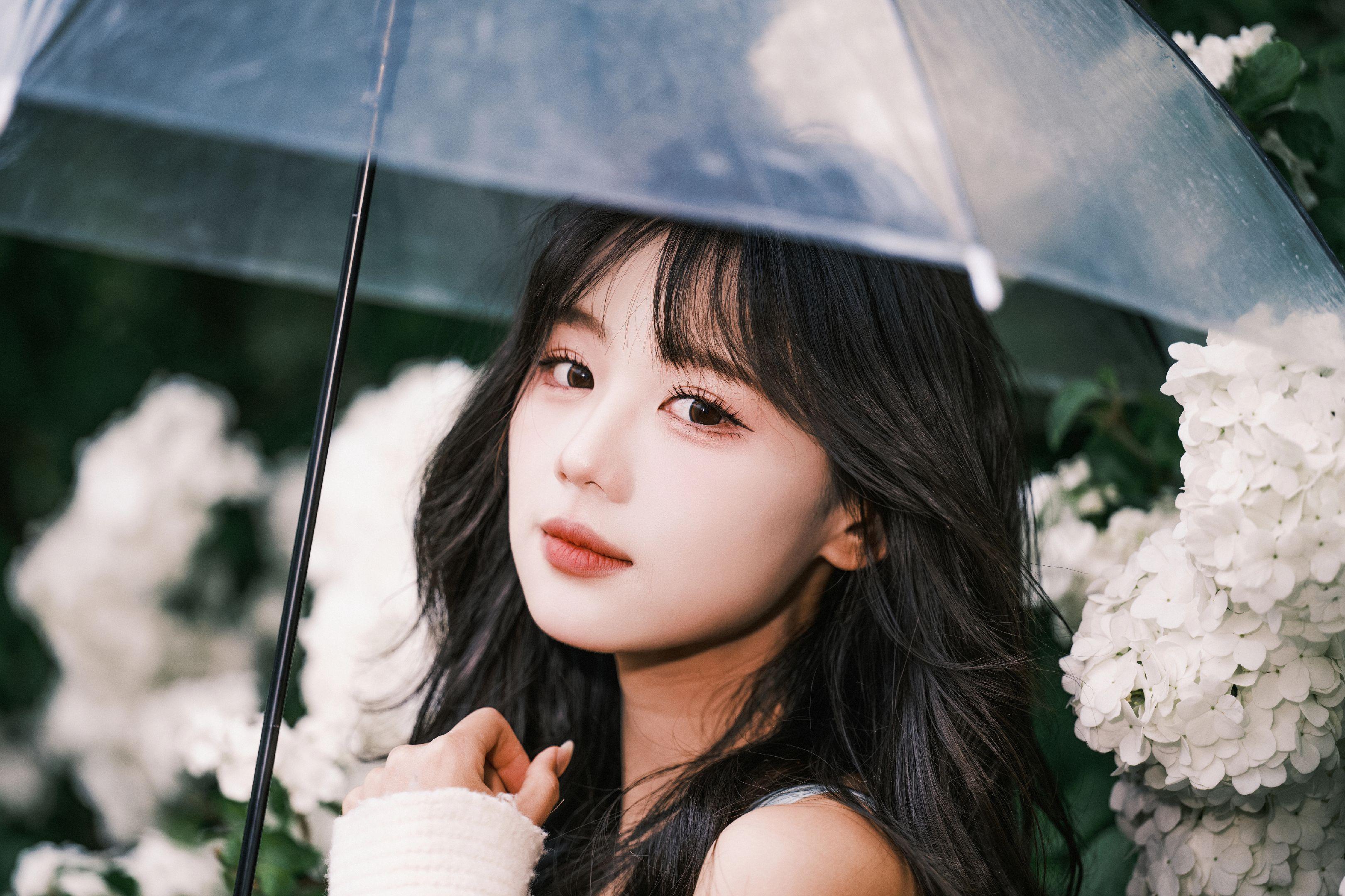 雨天与绣球花。模特夏美  📷尼康z8+z70200