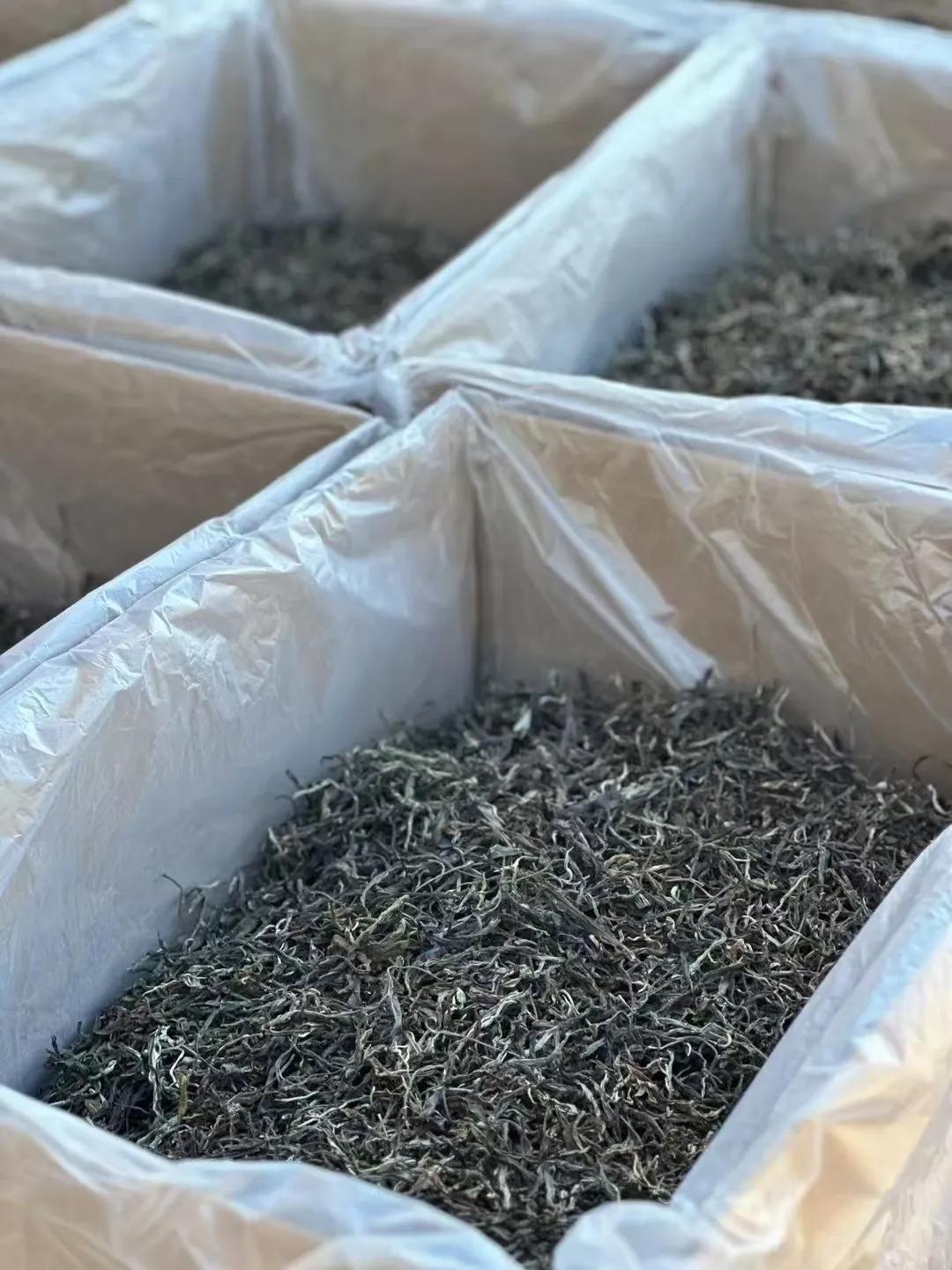 如今的茶叶市场，实体门店似乎已经没什么存在感了。特别是当下颇为流行的茶农砍价直播