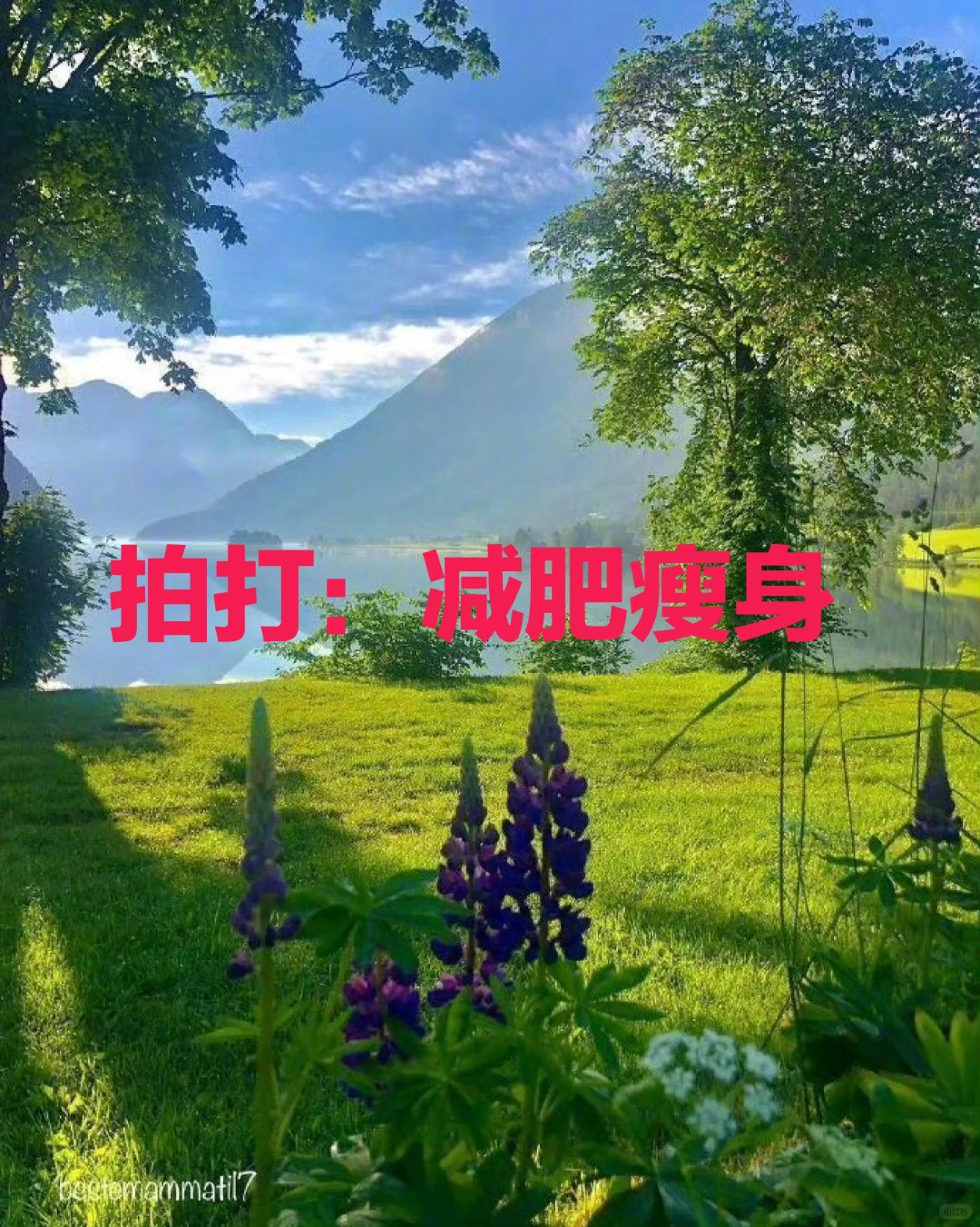 拍打：减肥瘦身