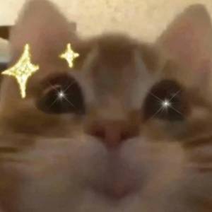 星星表情包库更新[期待] ​​​