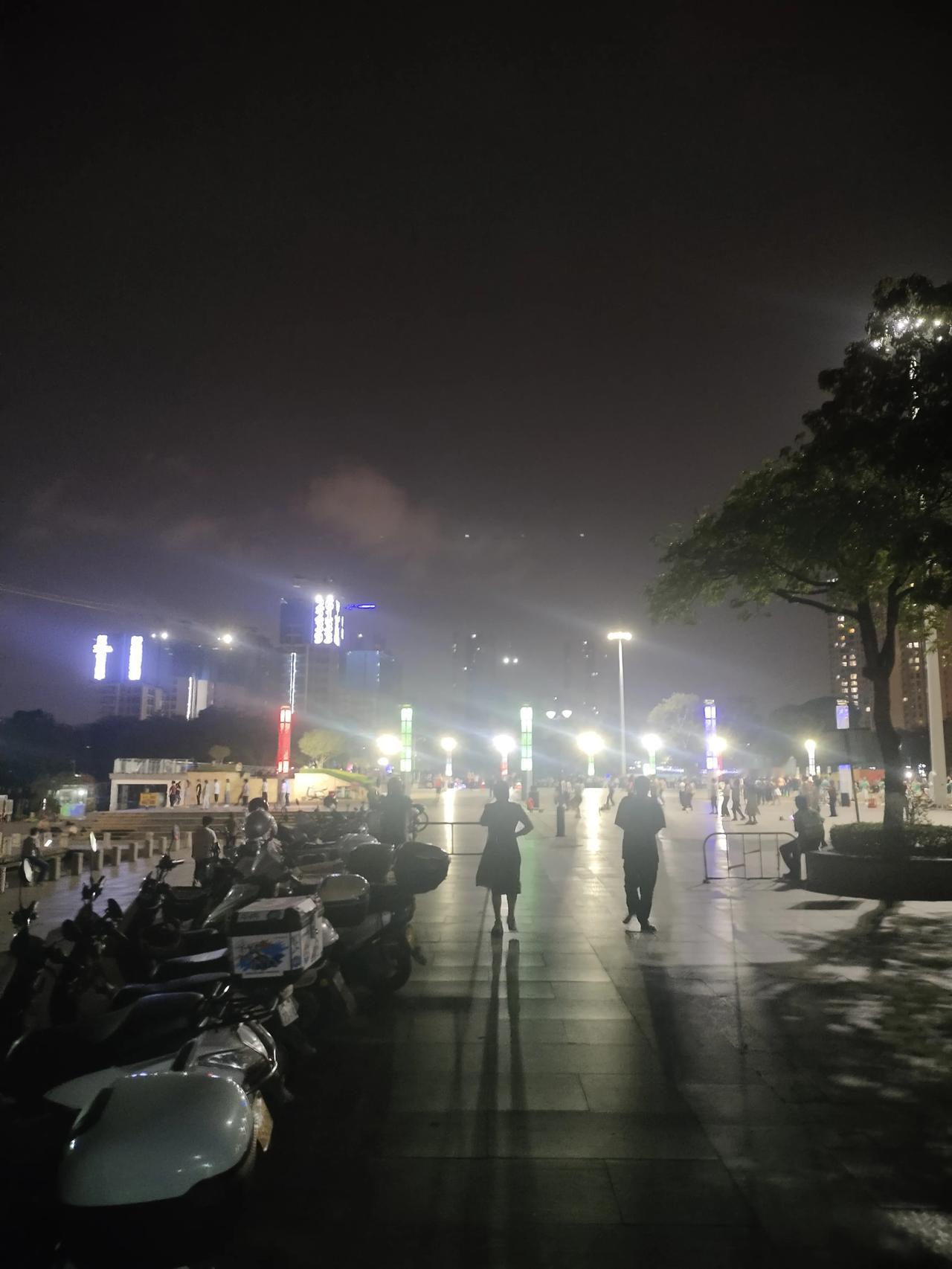 现在住的商品房紧邻东湖公园，虽然住进来已经快三个月了，但是很少去公园逛，由于每天