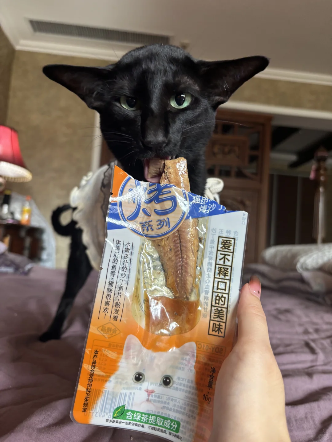 哪个猫咪小宝还没吃上一整条小鱼鱼的零食呀