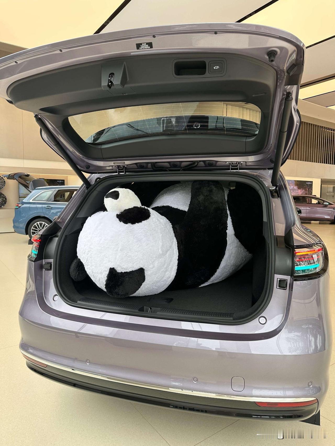 同事儿子刚工作不久，想买某个电车。同事反对买这个车，儿子一定要买。觉得这个车时尚