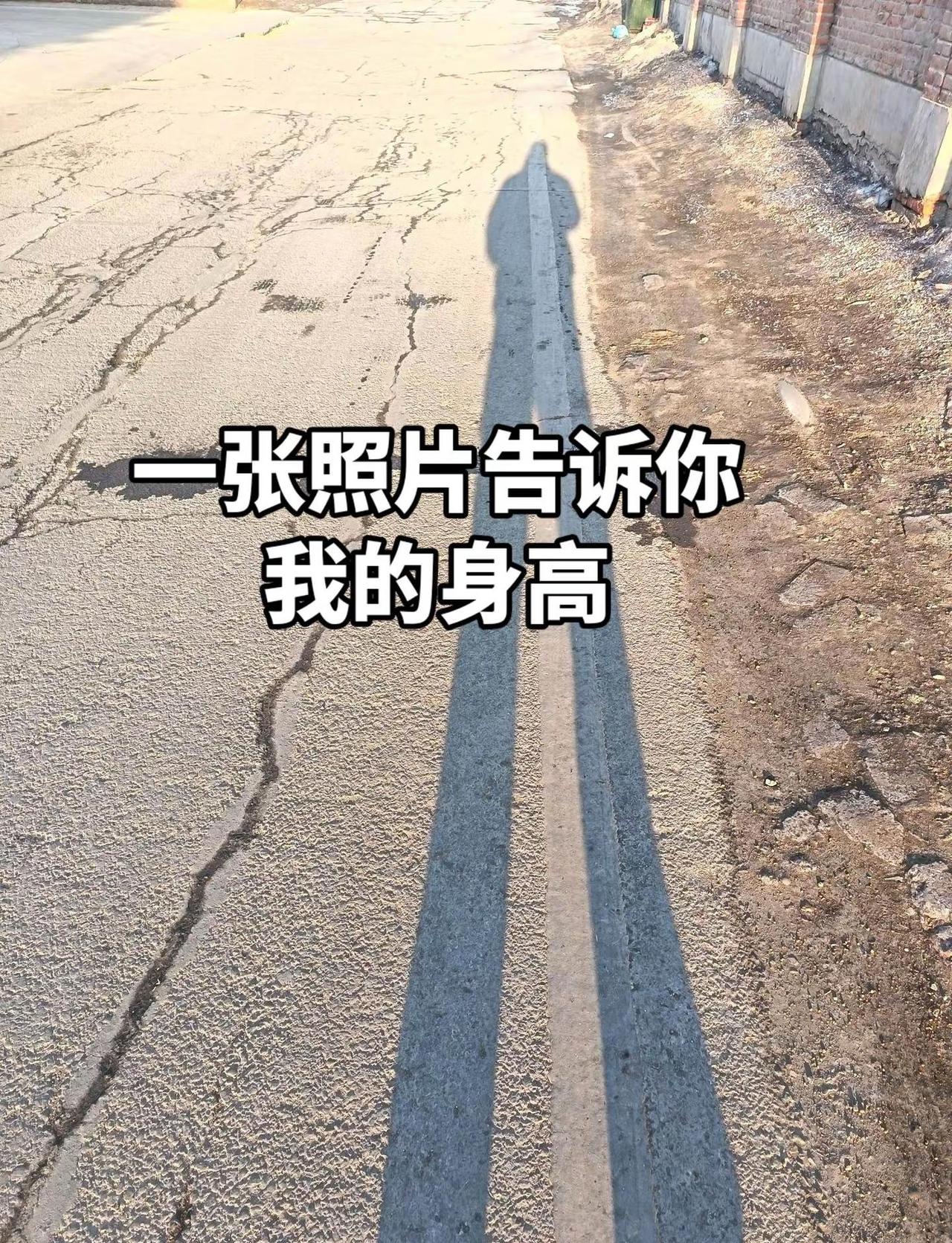 来比一下。我的图片 随变ai随便玩