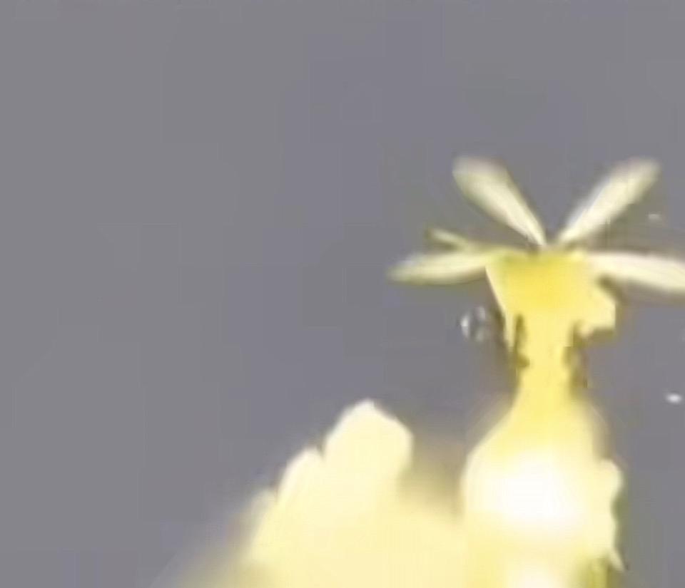 我的今日状态：😎自信酷炫
我这里的天气：🍂微风