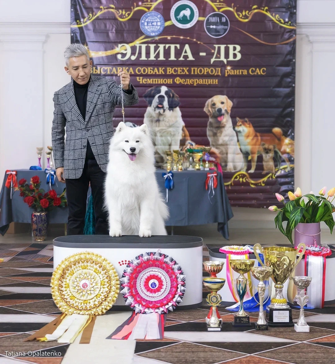 俄罗斯2场比赛，春天获得2场open组全场总冠军BIS1/BIS2🏆...
