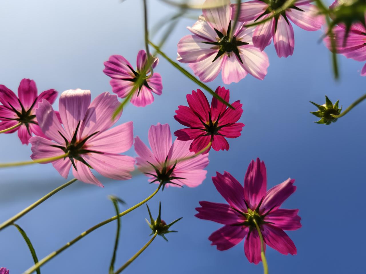 墨菲定律:心里越害怕什么就越会发生什么。
小时候上课提问，老师说:你们总是抱有侥