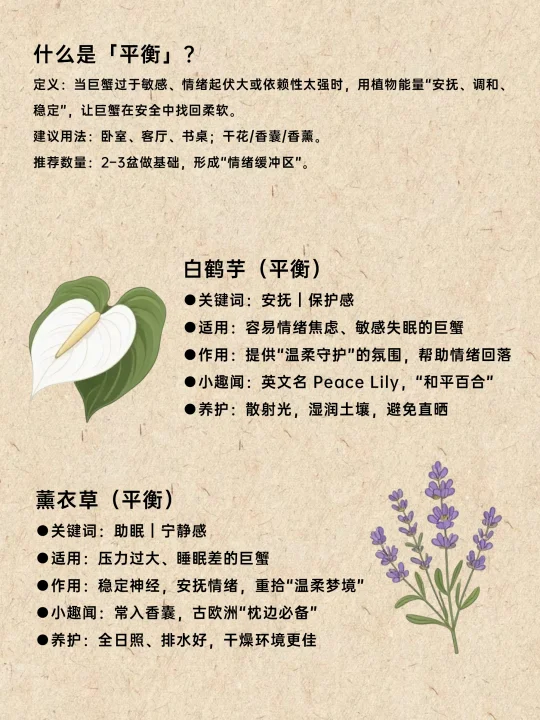 巨蟹一生最旺天选植物💰旺到发光