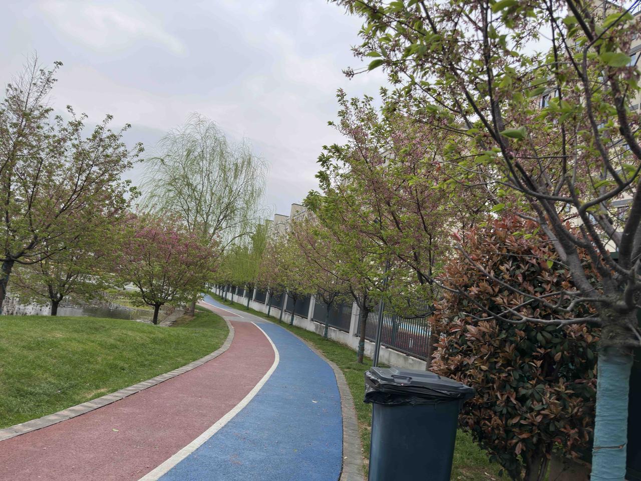 春雨贵如油！可能是对于北方人来说吧？

在我们这儿，春天的雨水太多了。昨天的天气