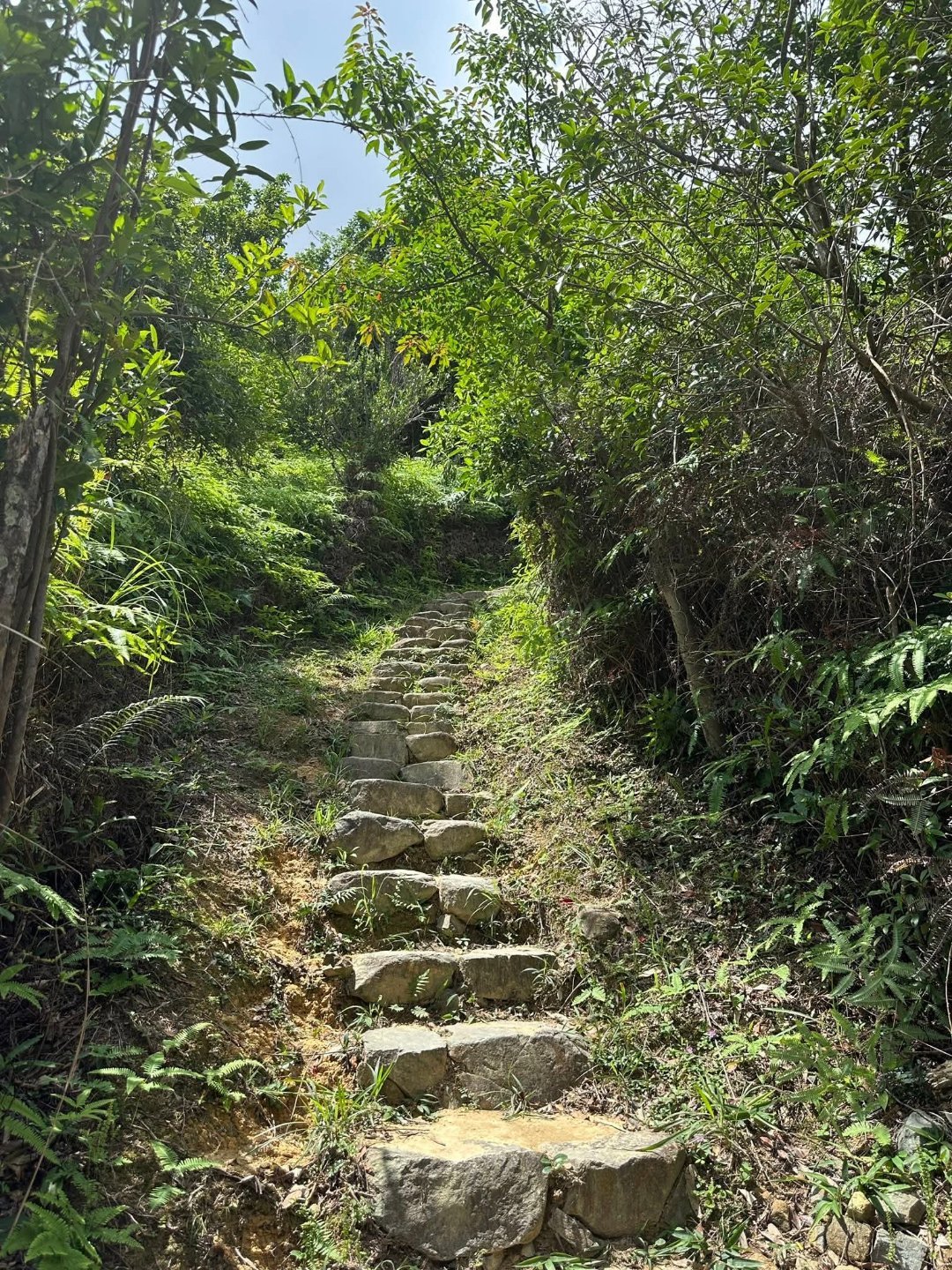 阳光信用心存善意，行有温暖。小小善举既能照亮他人，也能丰盈内心，让温柔一路相伴相