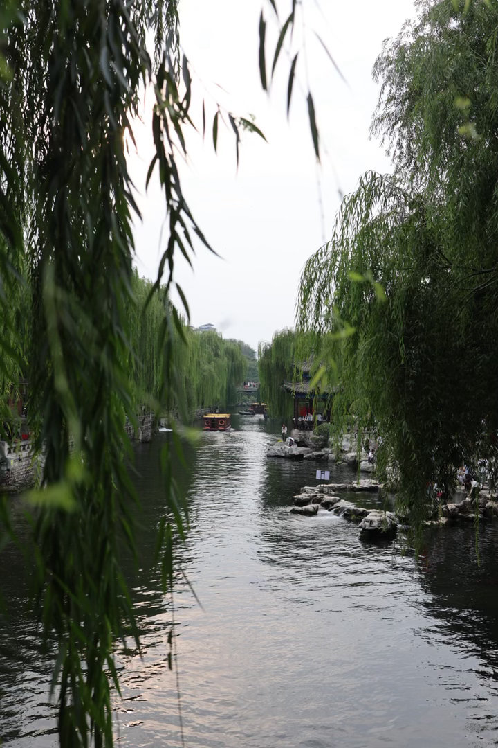 山东的水也太会喷了吧💦我指的是泉水哈[手指比心] ​​​