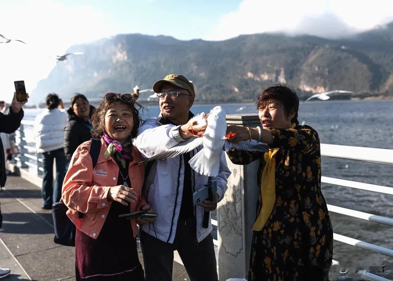 昆明爆料 是什么扭曲心理才会干这种事，这种人，不要来昆明看海鸥了！这么多年了，我