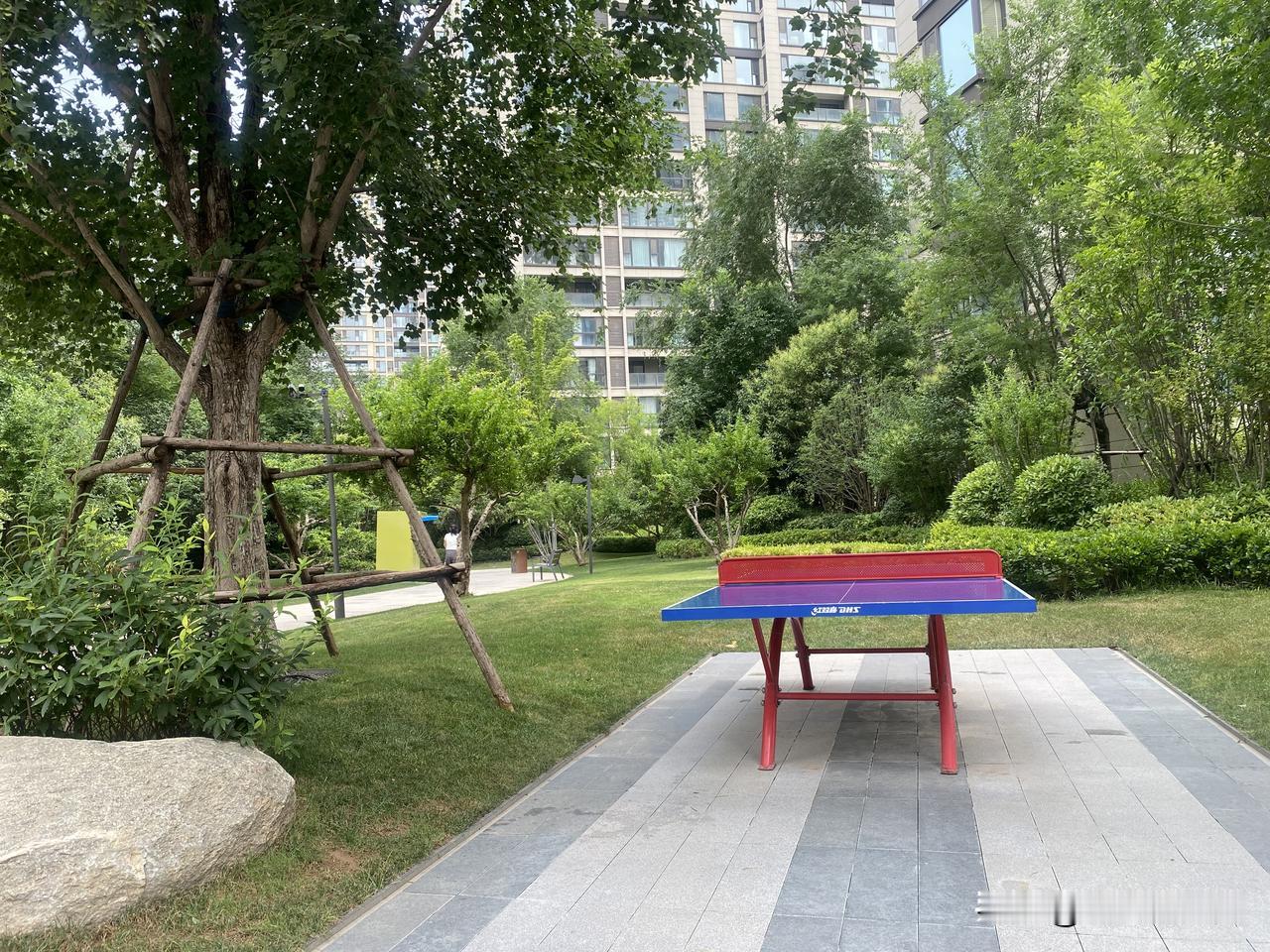 晒图笔记大赛绿意盎然的庭院，静谧而美丽，仿佛置身于大自然的怀抱。