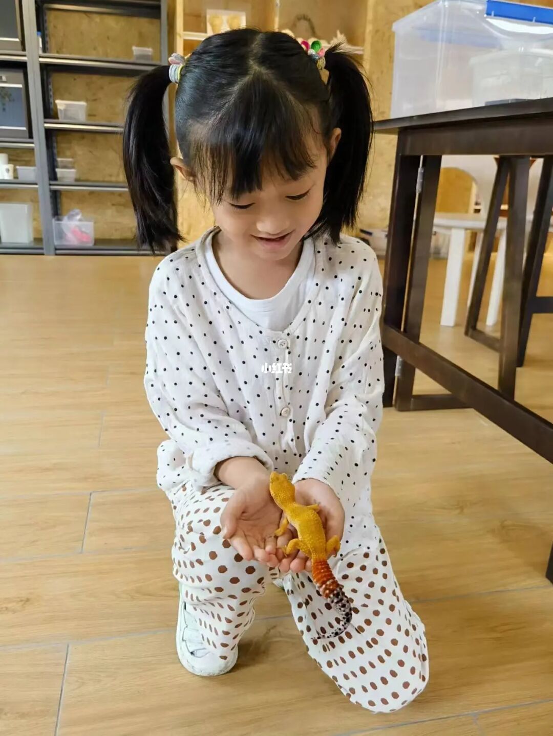 幼儿园大班2个月后，我发现10个育儿真相❗