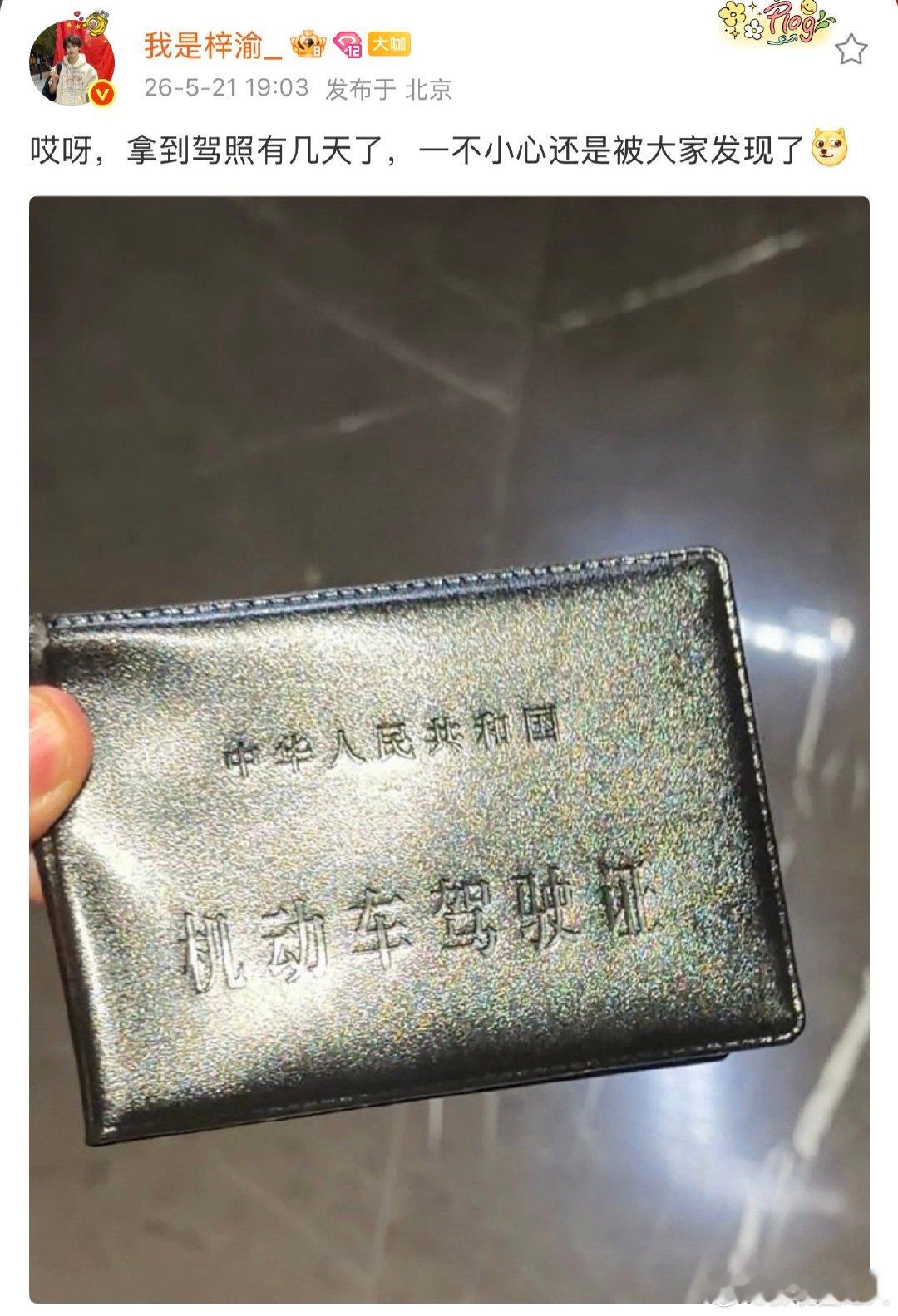 梓渝回应拿到驾照梓渝一不小心还是被大家发现了 梓渝回应拿到驾照，可以的梓渝演我拿
