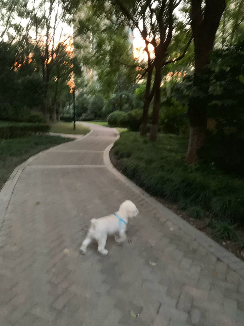 早安呀够早了吧 