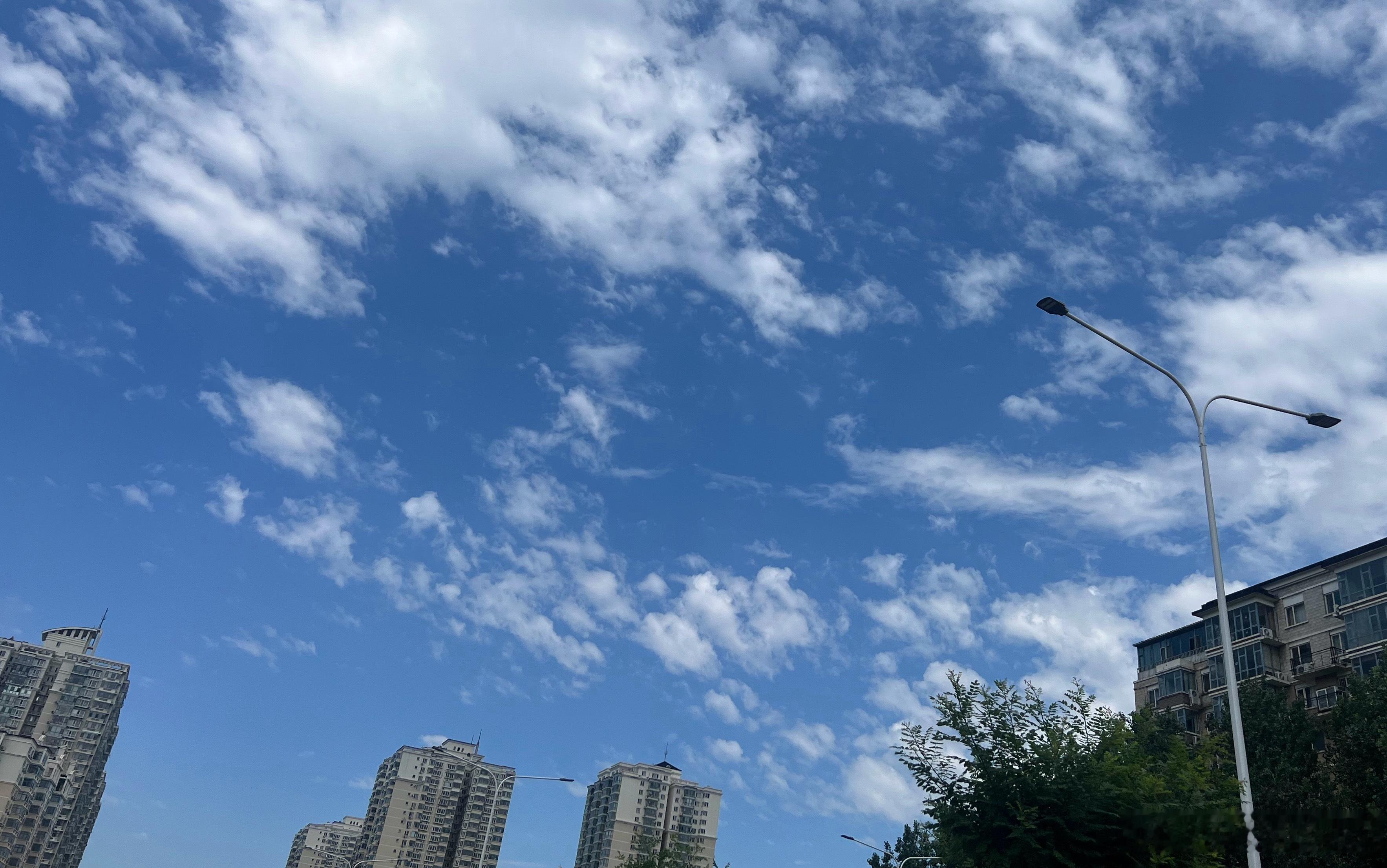 童妈A股日记 6月4日  阴天 （-2.1）今天的盘面更冷1344家💹4124