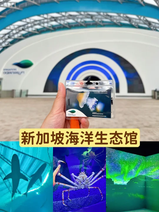 📍新加坡 ｜终于去了海洋生态馆！🌊