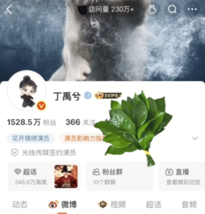 去去去 ​​​