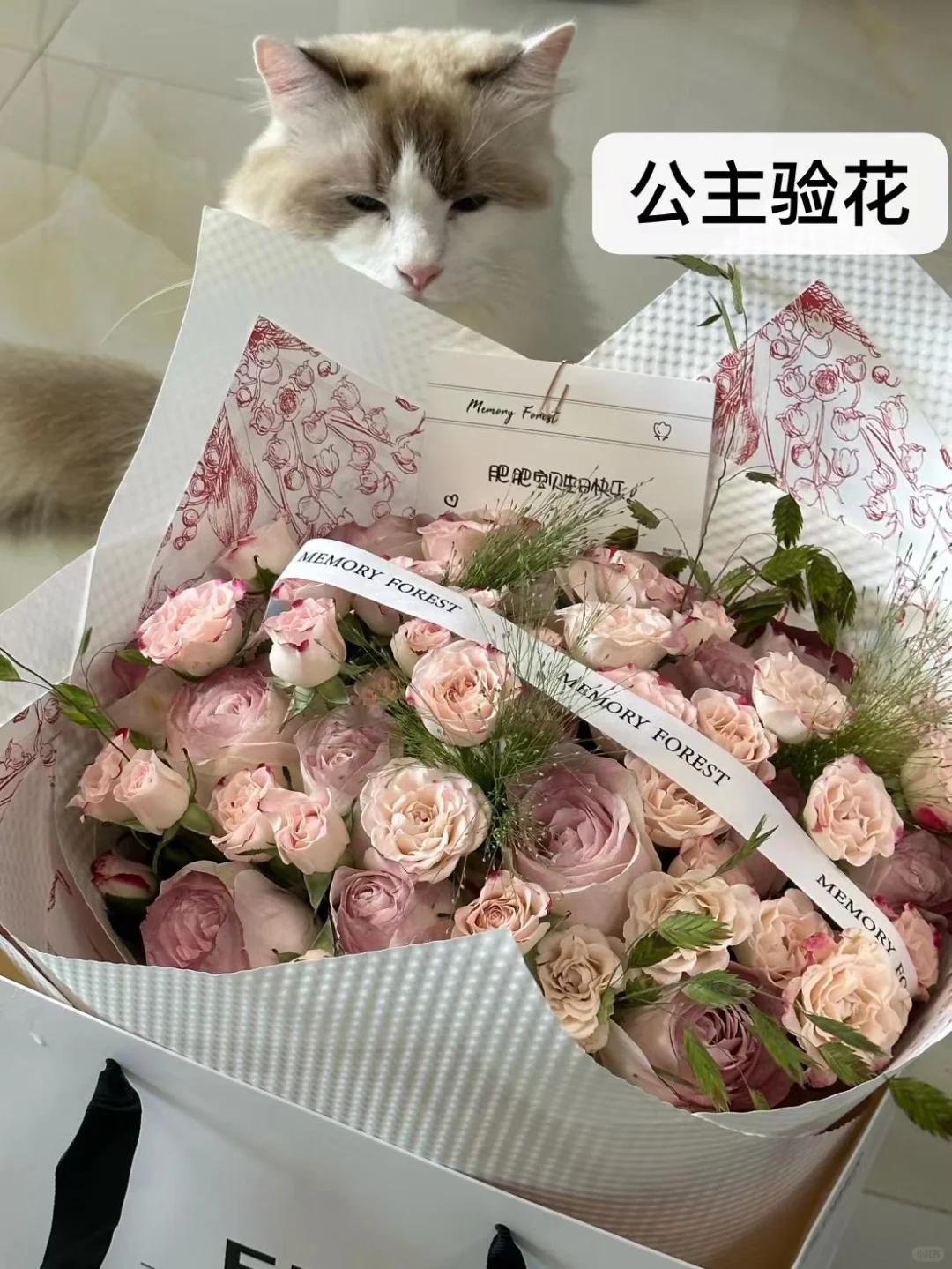 生日月！🎂 希望发财 被爱 好运常在