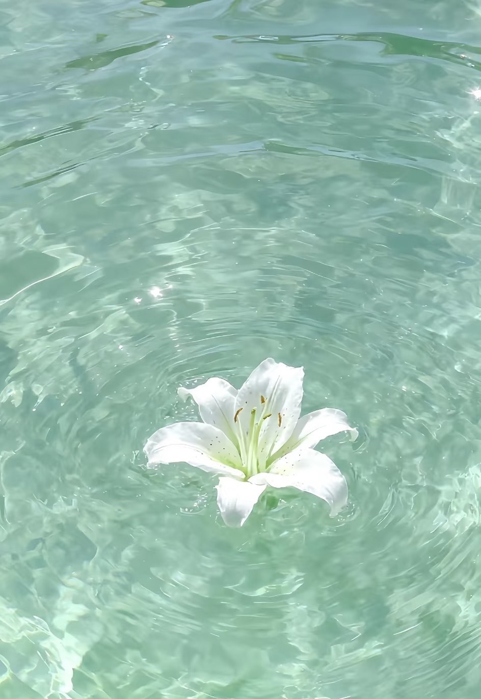 夏日壁纸背景图 