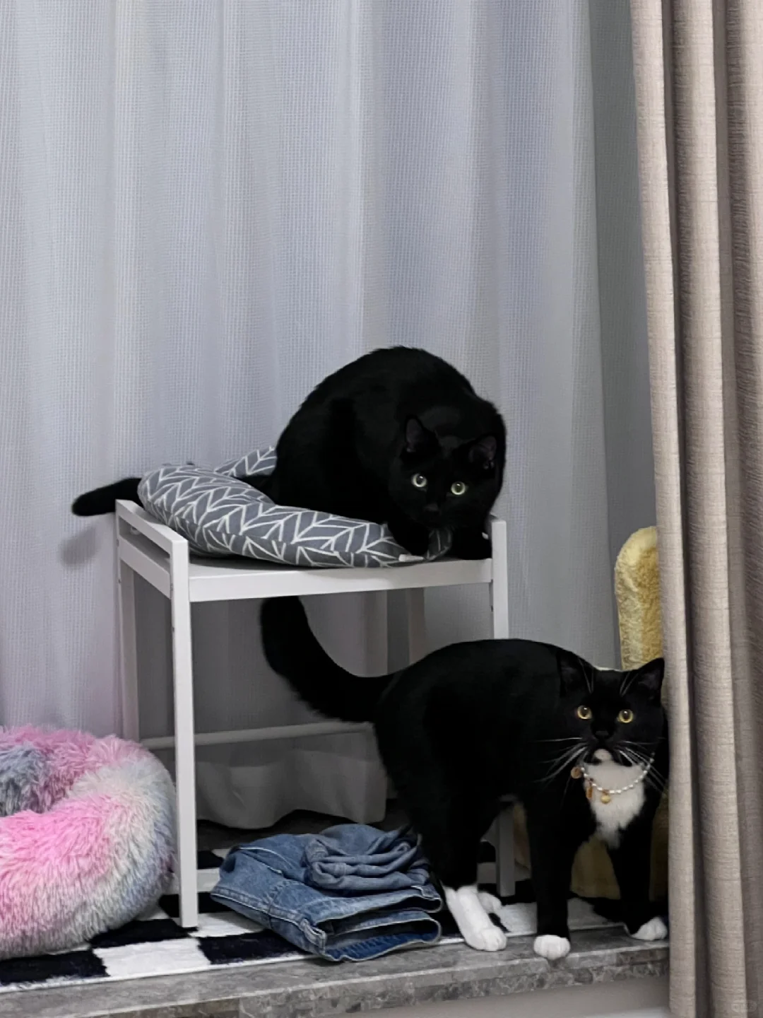 睡在我上铺的兄弟