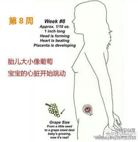 【孕期营养补充时间表】0-8周补叶酸，防畸形；9-12周补镁和维生素A；13-1