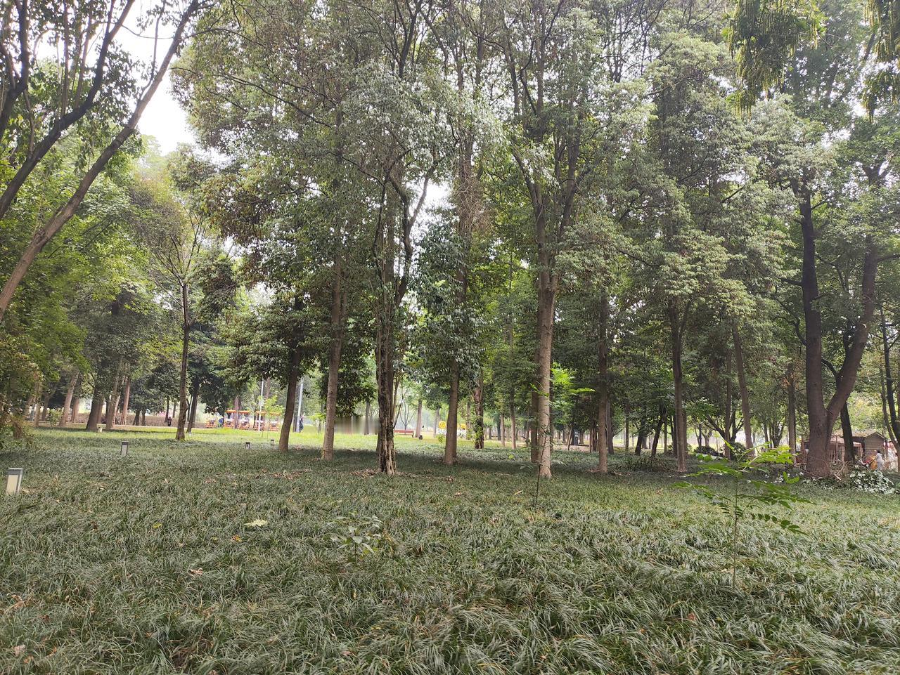 人到中年闲来品茶，回望过往几十年，慢慢看透生活本质。

从前总执着于功名利禄，凡