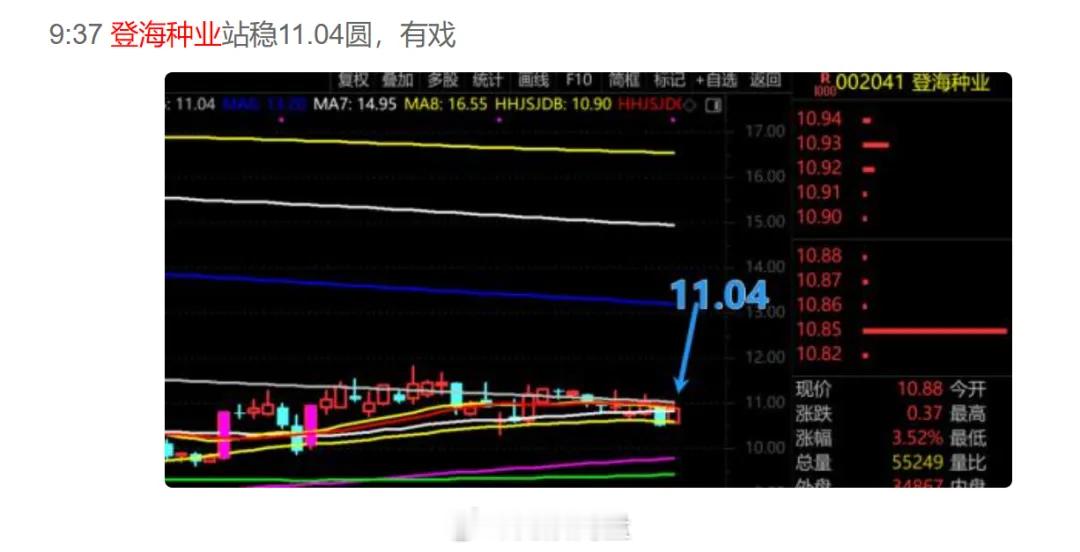 强农惠农富农的政策持续加力  2月19日点评潜伏了登海种业，今天就是离场的时候了