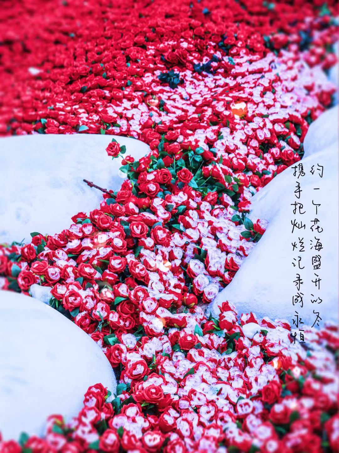 #云台山[超话]##阿山播天气# 2月29日，云台山 阴 -1/6℃#今天是四年