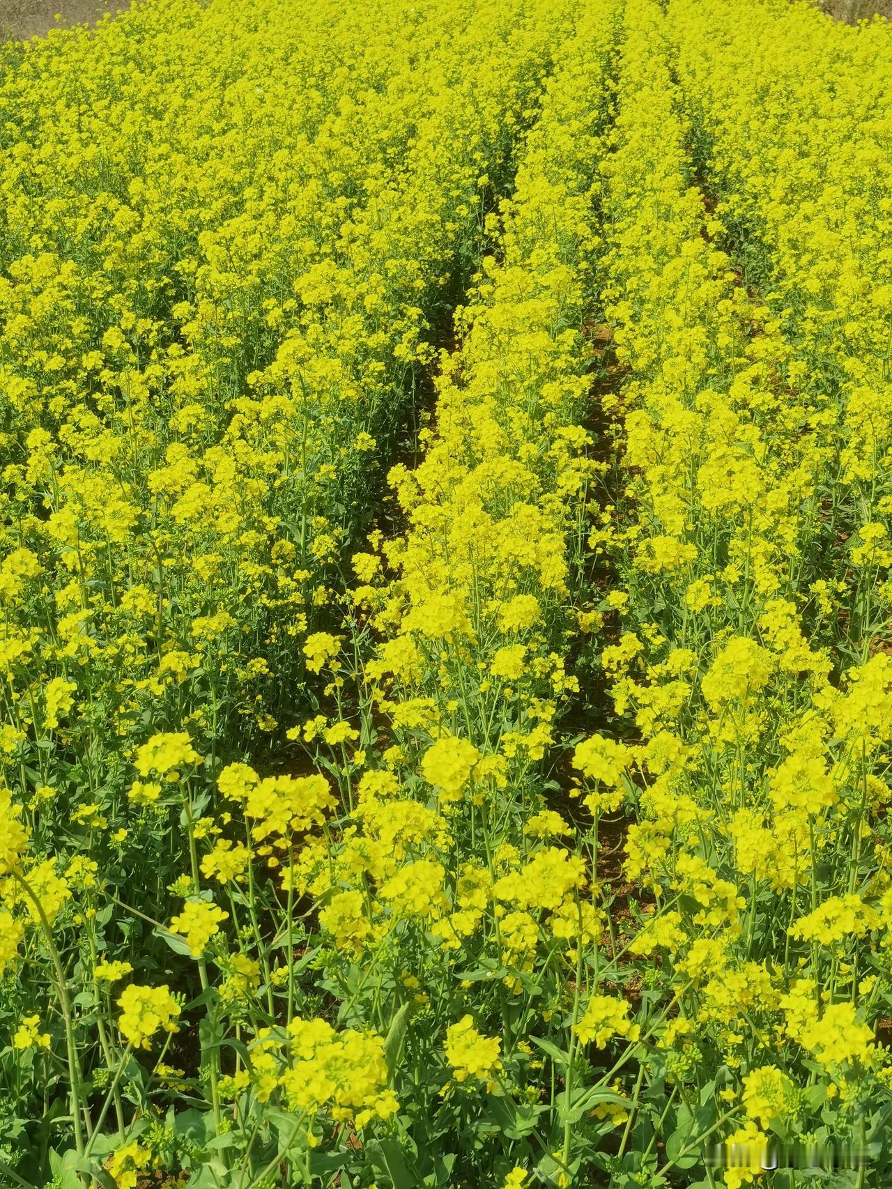 八月逢知己，知己懂我心。
生活入正轨，夜深得安宁。
陪我看风景，诗书聊人生。
同