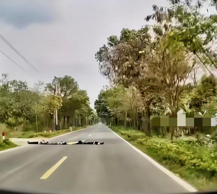 这4个孩子，差点毁掉司机的家庭。
也不知是谁带的头，总想玩点刺激的，就这样一字排