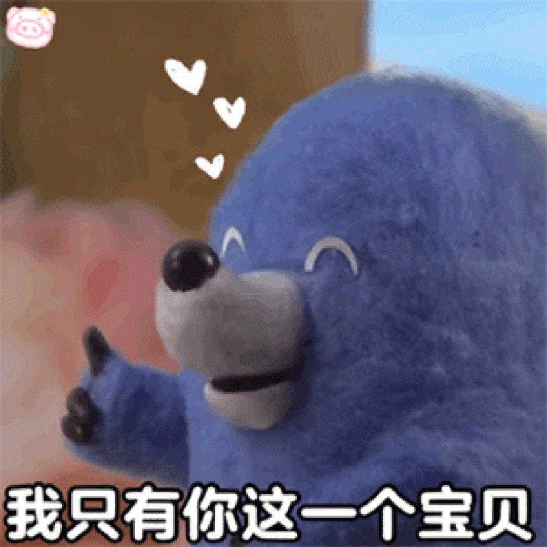 你好星期六太好玩了吧   笑点怎么这么多…白鹿好可爱啊啊啊啊啊啊啊“红色世界上最