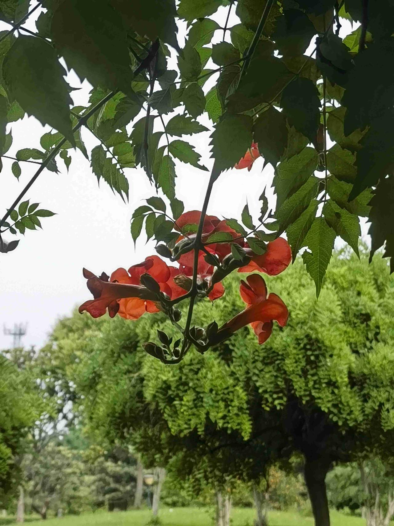 我的今日状态：😁轻松愉快
我这里的天气：☀️晴天