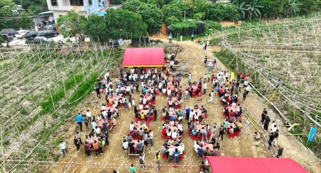 【广州增城蔗农设23围流水席，答谢游客“10元3条甘蔗自己砍”！滞销地20余天“