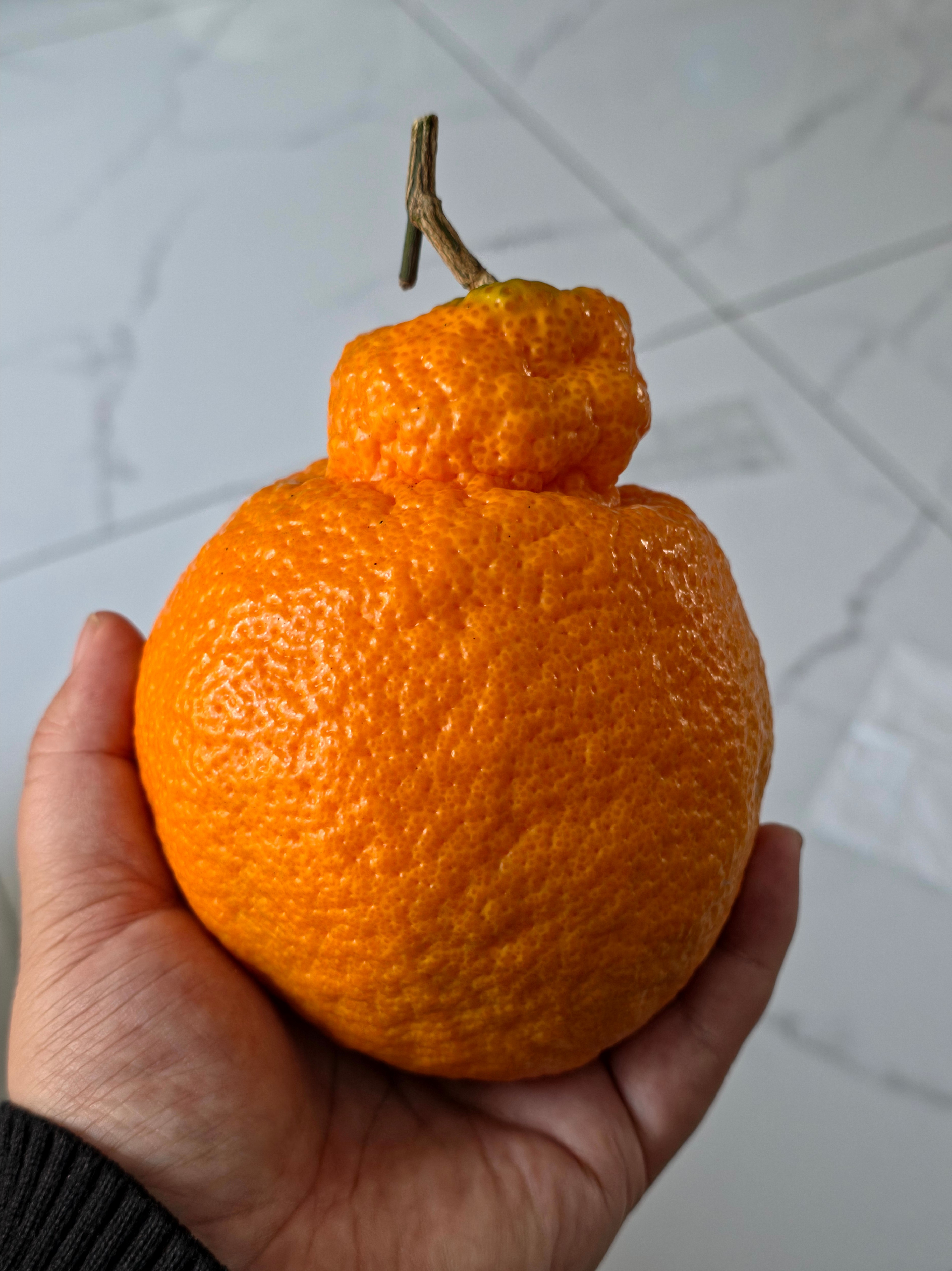 耙耙柑，我们这超市5块钱一斤，你们那呢？我都挑这种个大的买。 